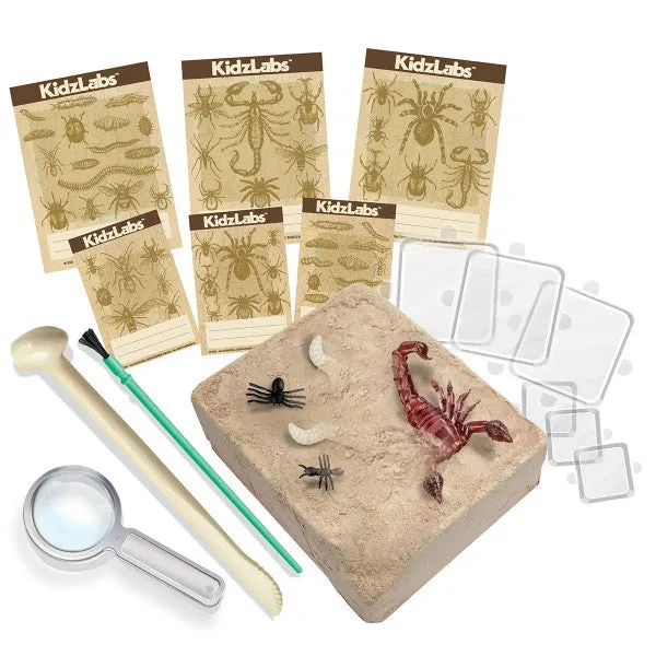 4M Kidz Labs / Creepy Crawly Digging Kit