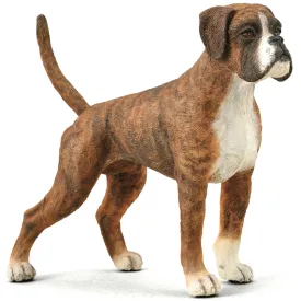 Collecta - Boxer