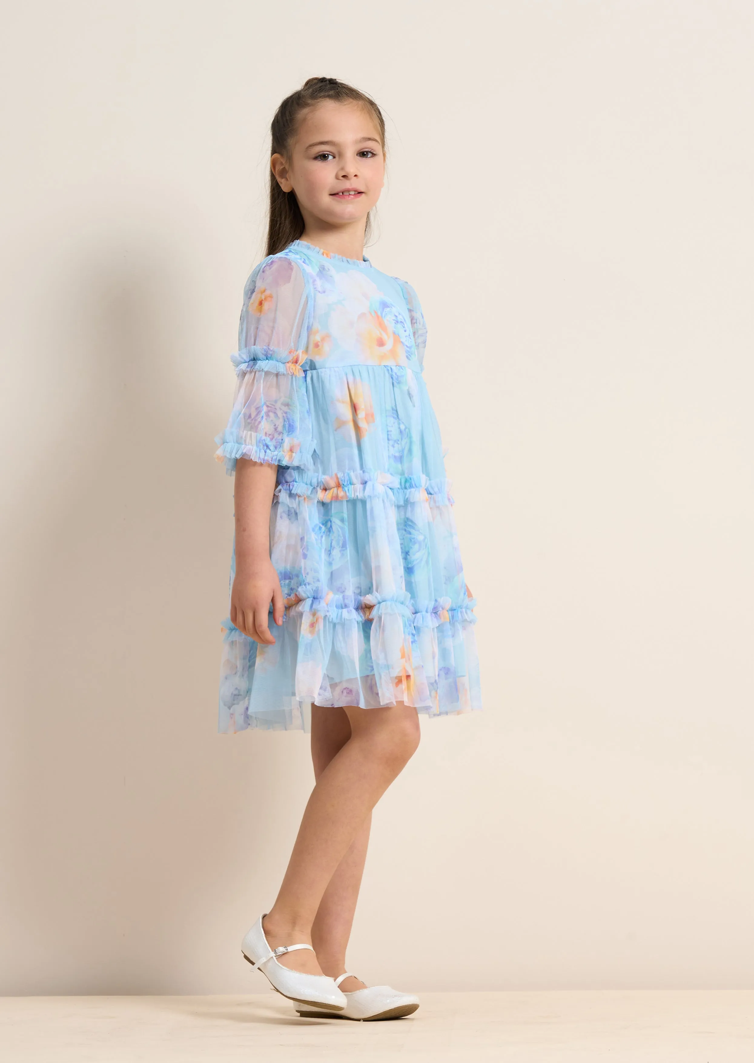 Eleanor Mesh Ruffle Blue Dress