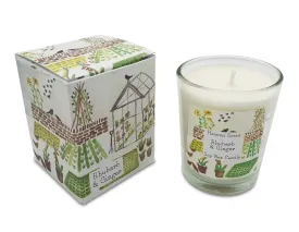 Heaven Scent Small Rhubarb & Ginger Candle