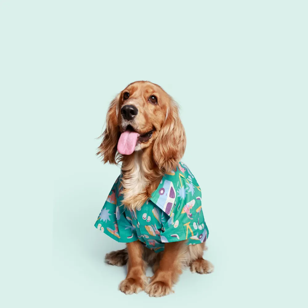 Pack of 2 Dog Shirts Peppy